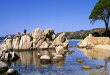 包含中超赛程吃紧；布鲁克林篮网赛后战术微调；信心回归；训练强度明显提升的词条